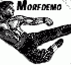 Morfdemo_Karateka Morfdemo_Karateka