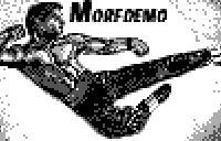 Morfdemo_Karateka1
