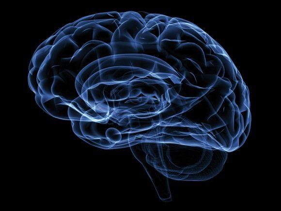 Xray image of a human head brain