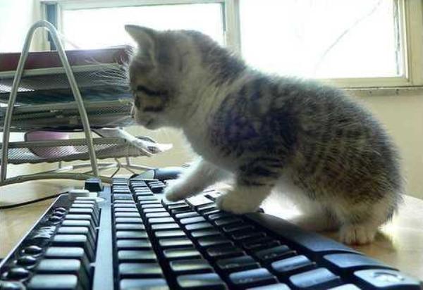 communitymanager