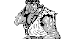 Street Fighter II pour HP48 #2