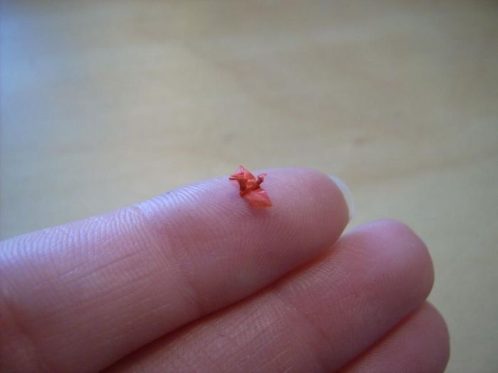 50 origamis miniatures tout simplement hallucinants #16