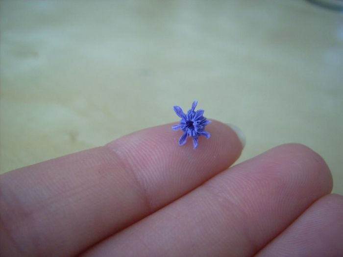50 origamis miniatures tout simplement hallucinants #21