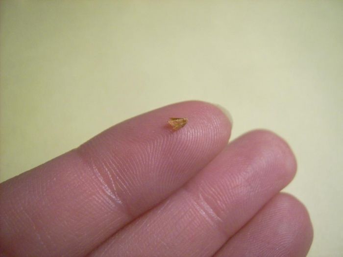 50 origamis miniatures tout simplement hallucinants #46
