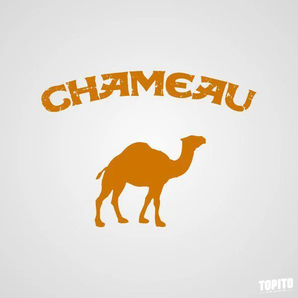 52 Logos traduits en français #6