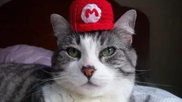 Syobon Action : un Super Mario avec un chaton complètement barré