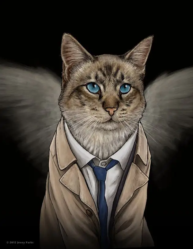 Avengers : et si les Super-héros étaient des chats ? #26