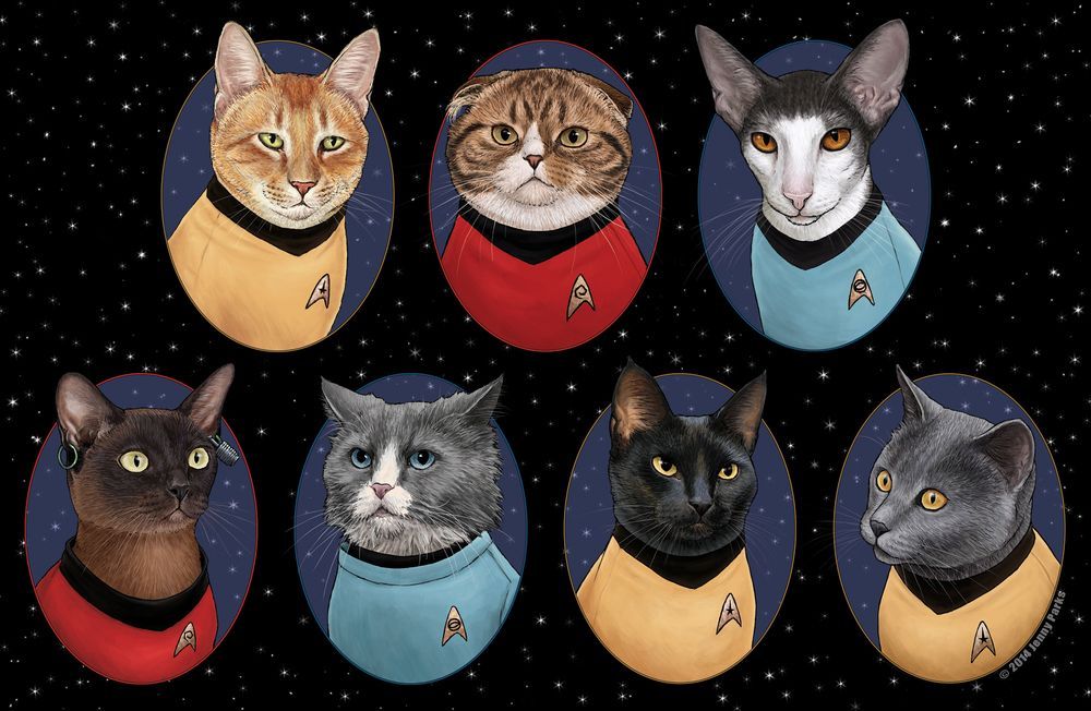 Avengers : et si les Super-héros étaient des chats ? #15