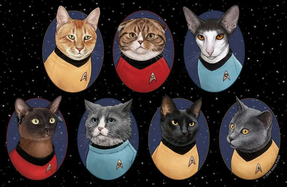 Avengers : et si les Super-héros étaient des chats ? #15