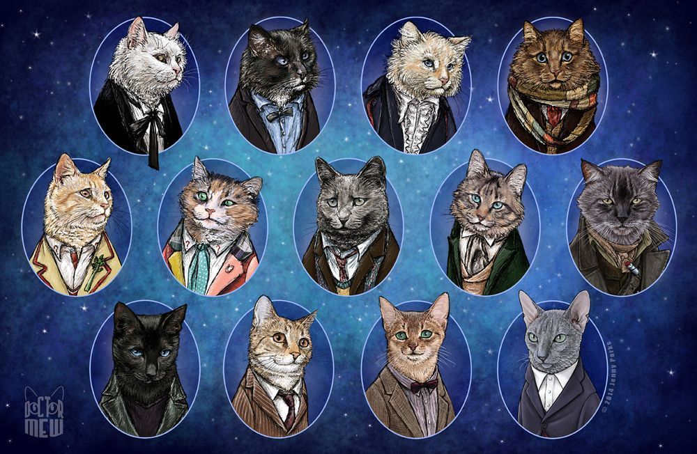 Avengers : et si les Super-héros étaient des chats ? #16