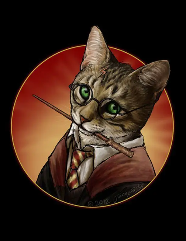 Avengers : et si les Super-héros étaient des chats ? #20