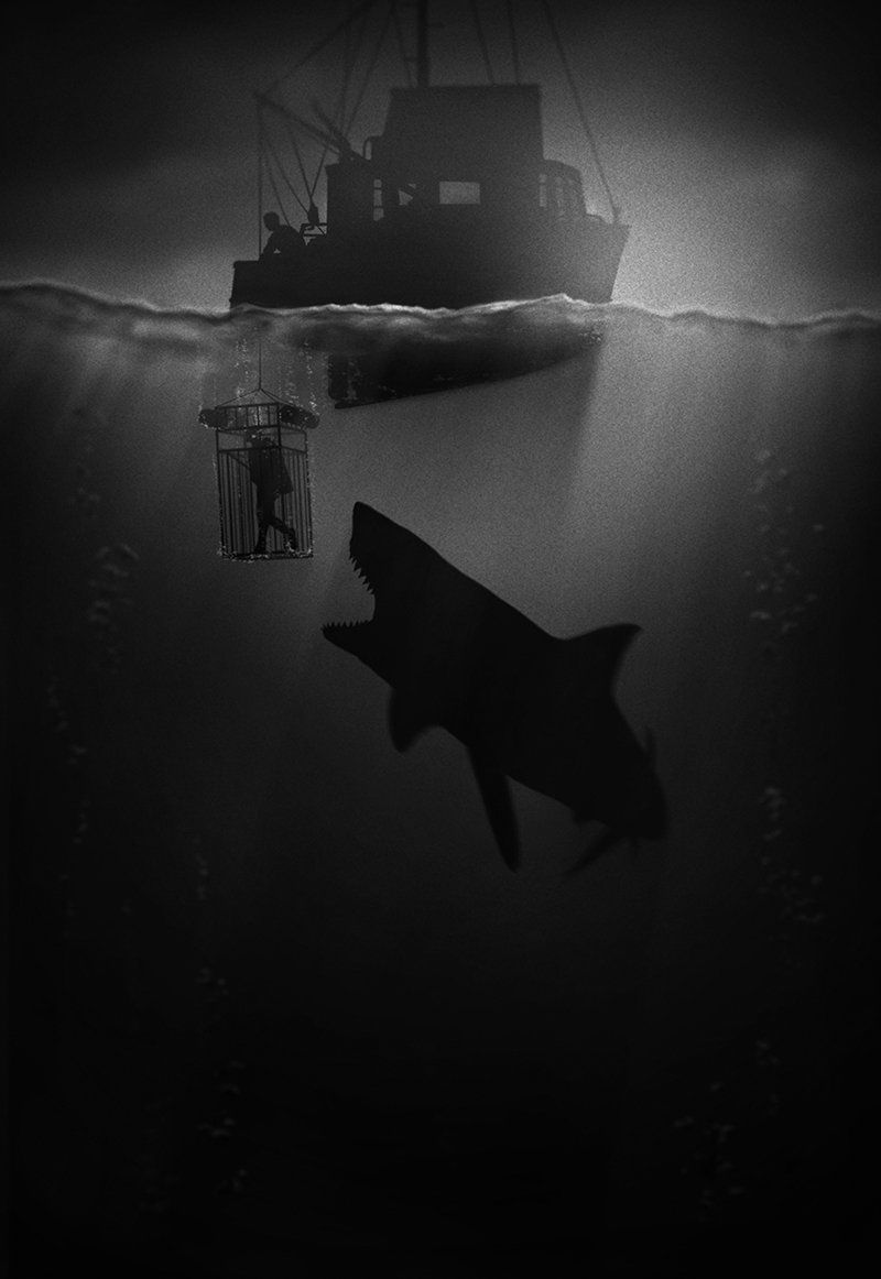 Des posters de films stylisés en noir et blanc #10
