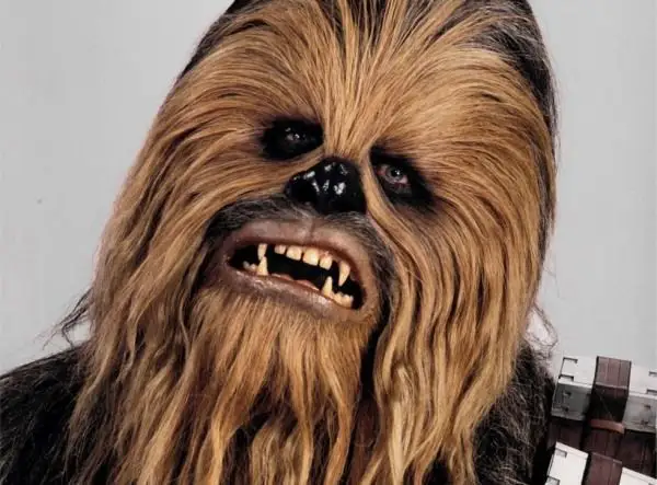 Chewbacca