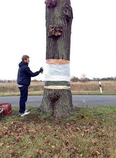 Une incroyable illusion d’optique avec un tronc d’arbre #2