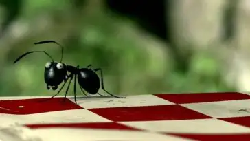 Minuscule La vallée des fourmis : un film d’animation 100% français