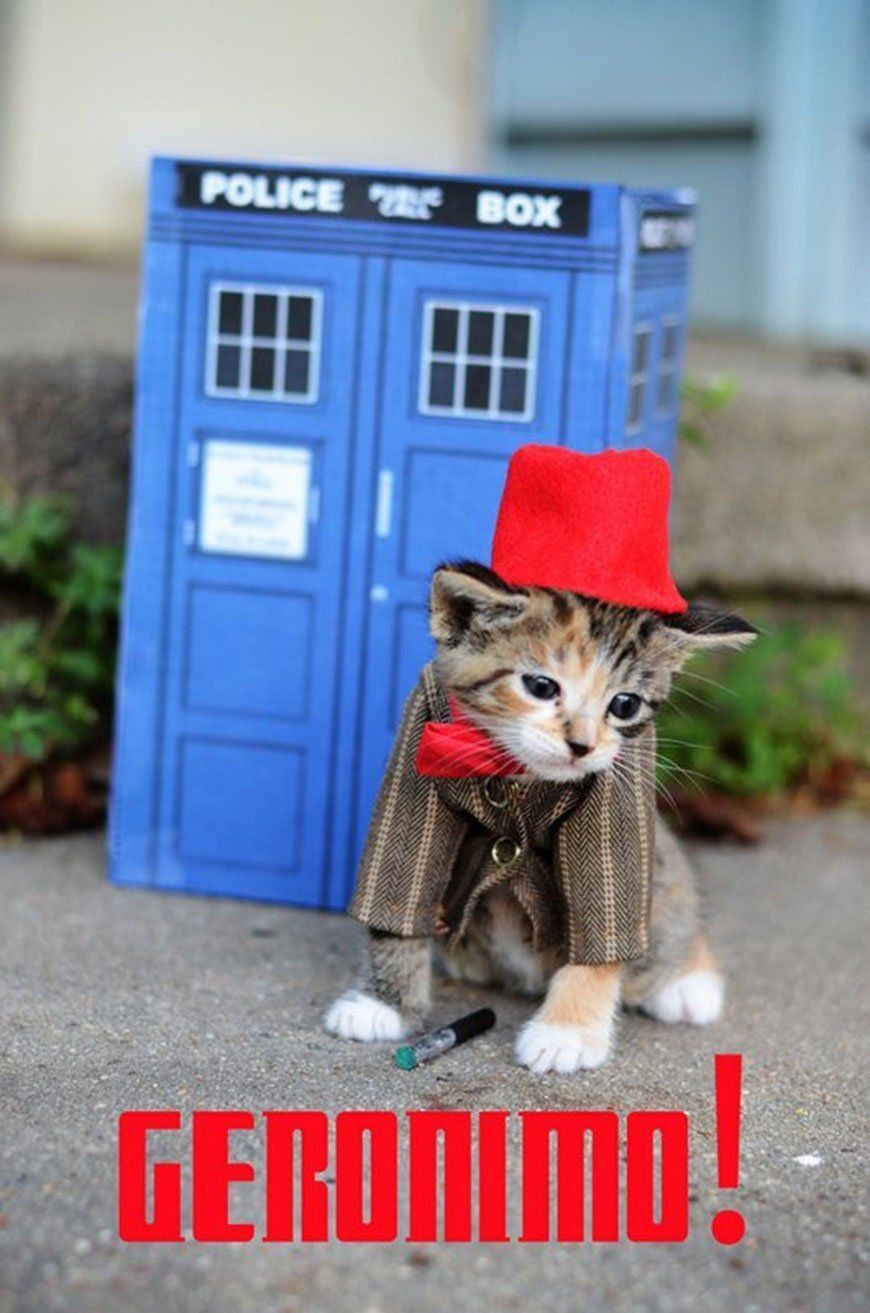 Si les héros de Game of Thrones, Star Wars ou Doctor Who étaient des chats ? #8