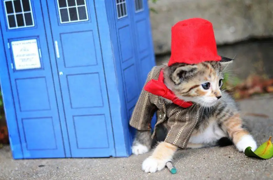 doctor-who-chat-2