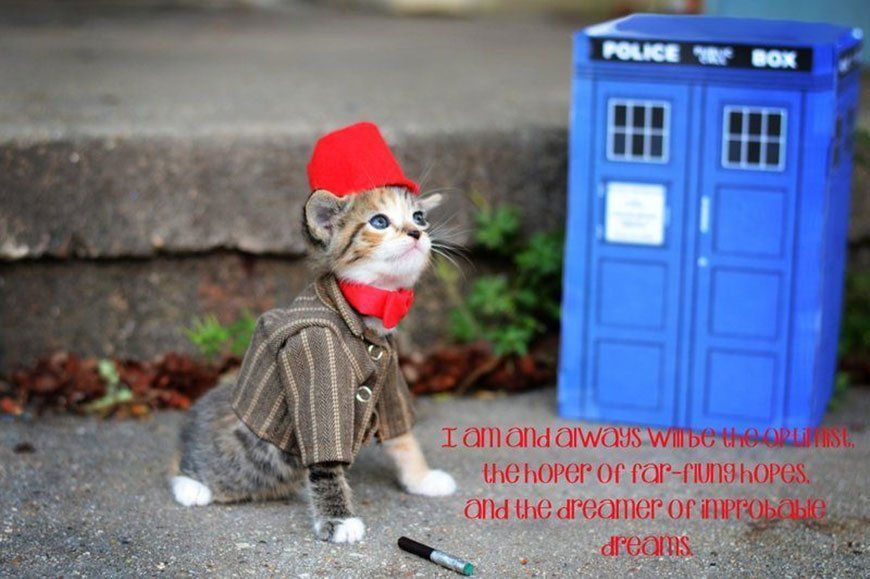 Si les héros de Game of Thrones, Star Wars ou Doctor Who étaient des chats ? #9