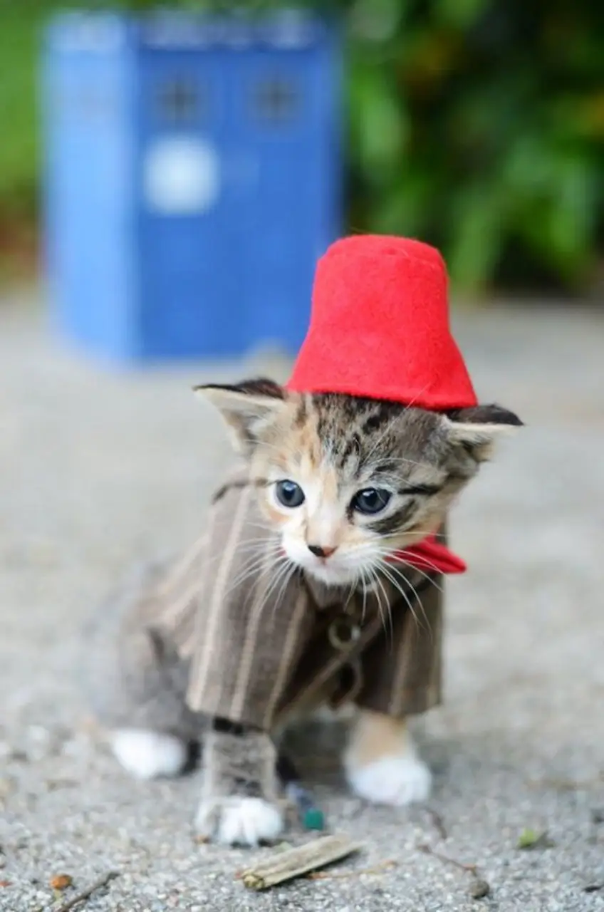 doctor-who-chat-4