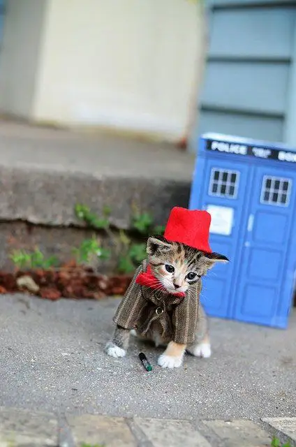 doctor-who-chat-6