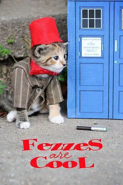 doctor-who-chat-7