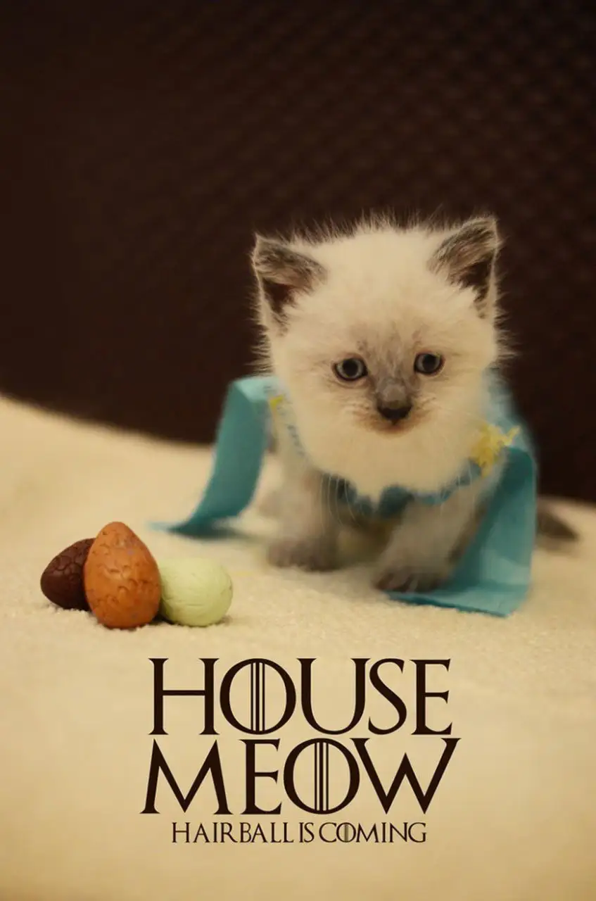 games-of-thrones-chat-1