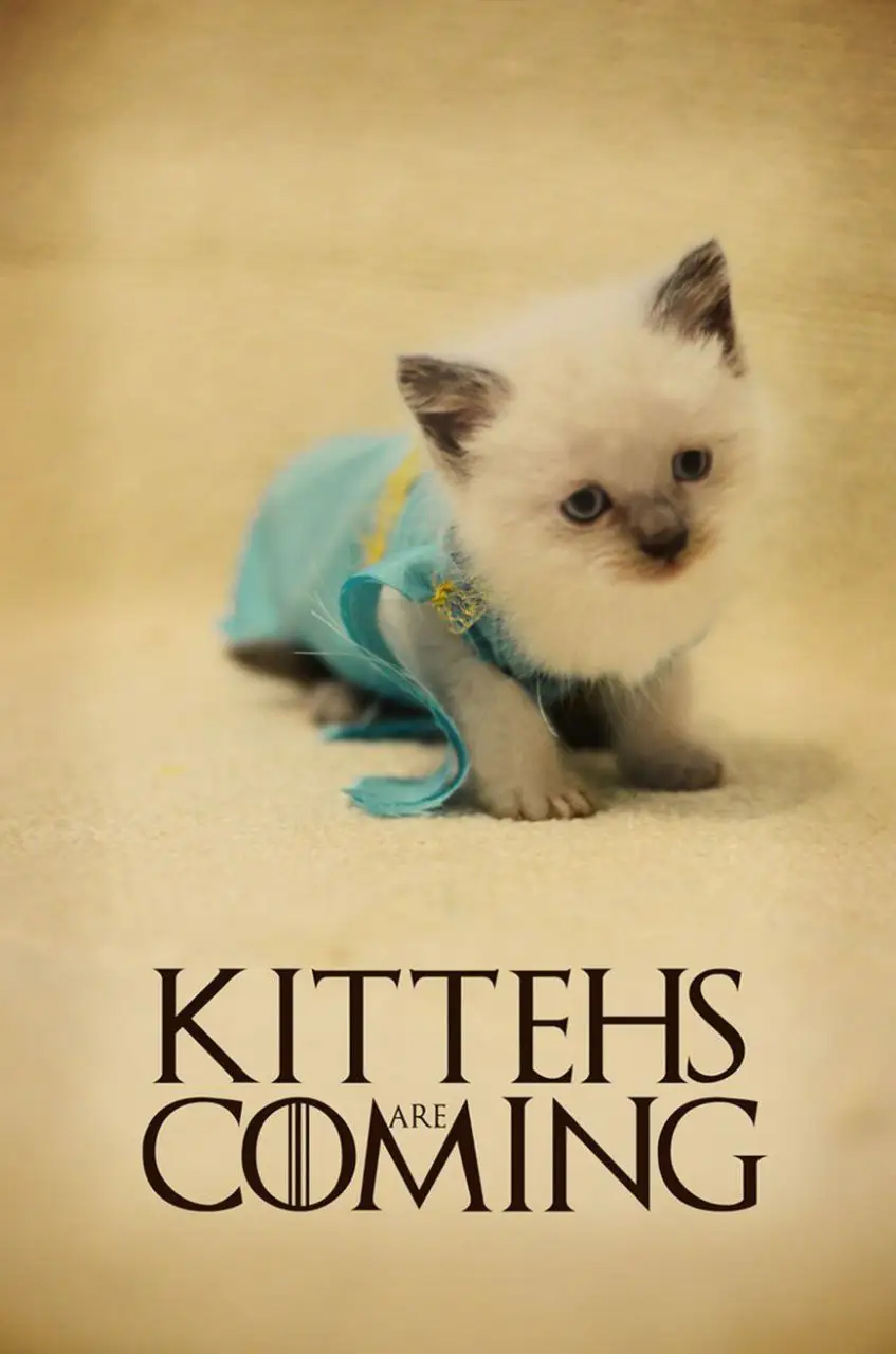 games-of-thrones-chat-3