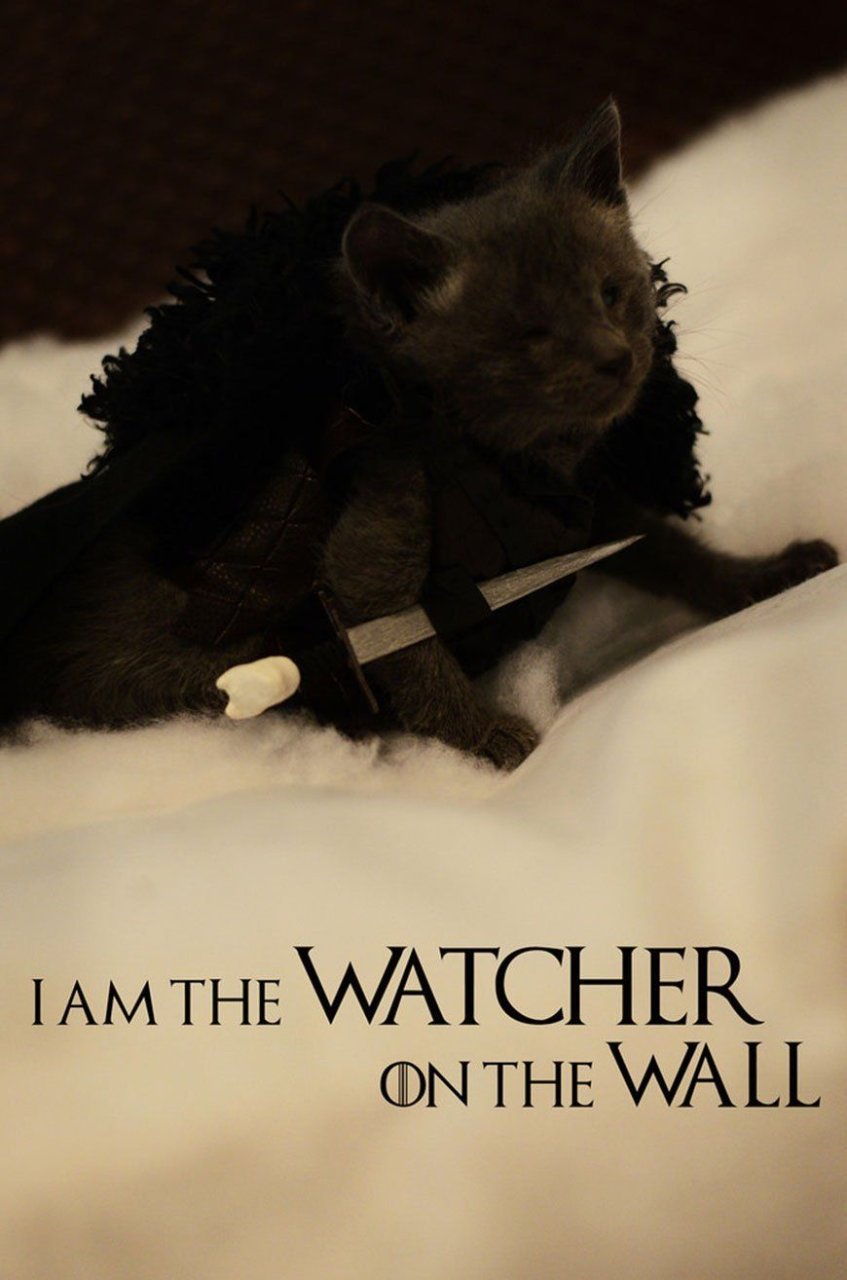 games-of-thrones-chat-4