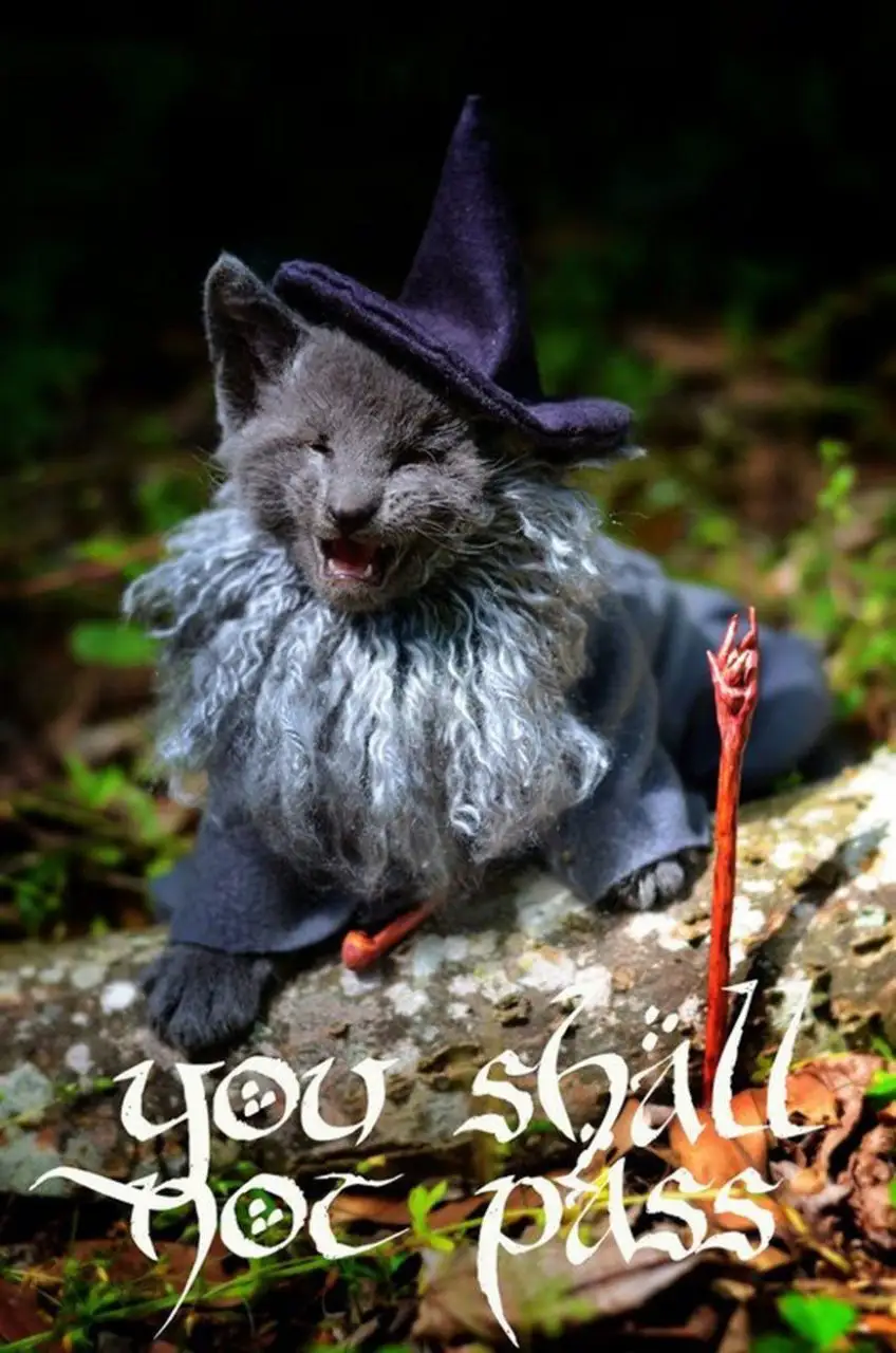 gandalf-chat-1