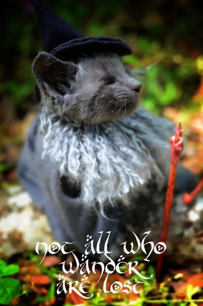 gandalf-chat-2