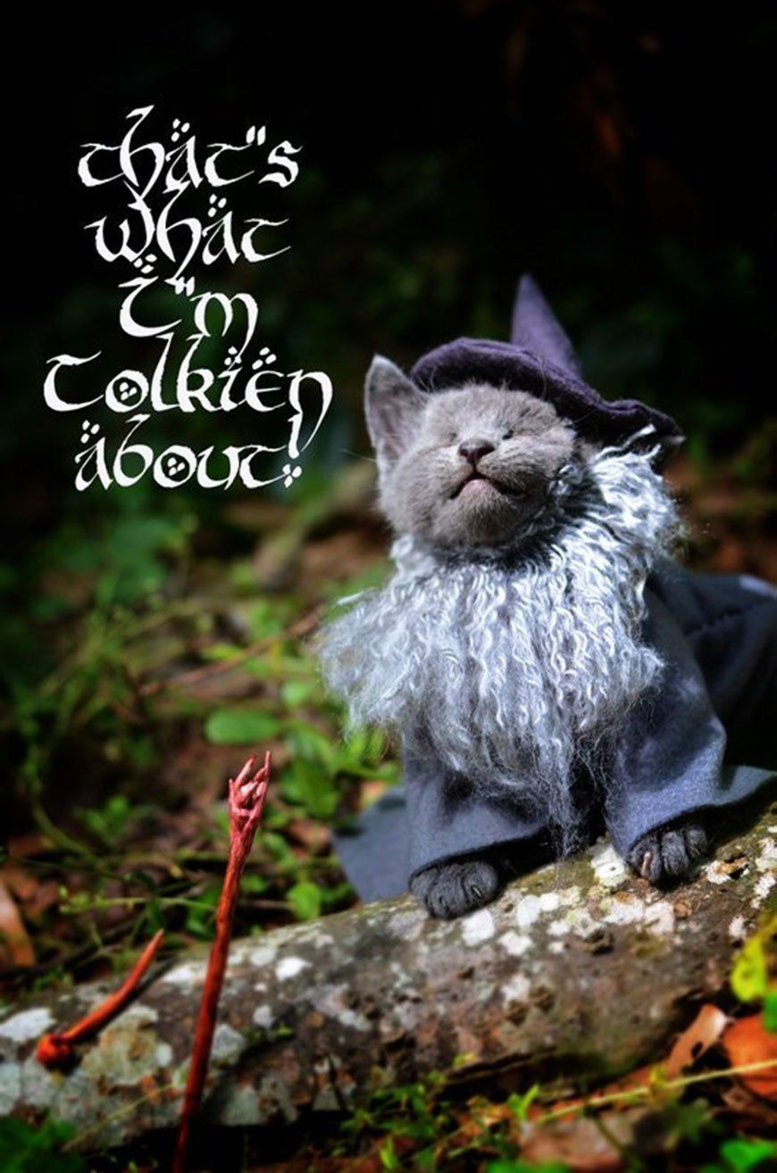 Si les héros de Game of Thrones, Star Wars ou Doctor Who étaient des chats ? #14