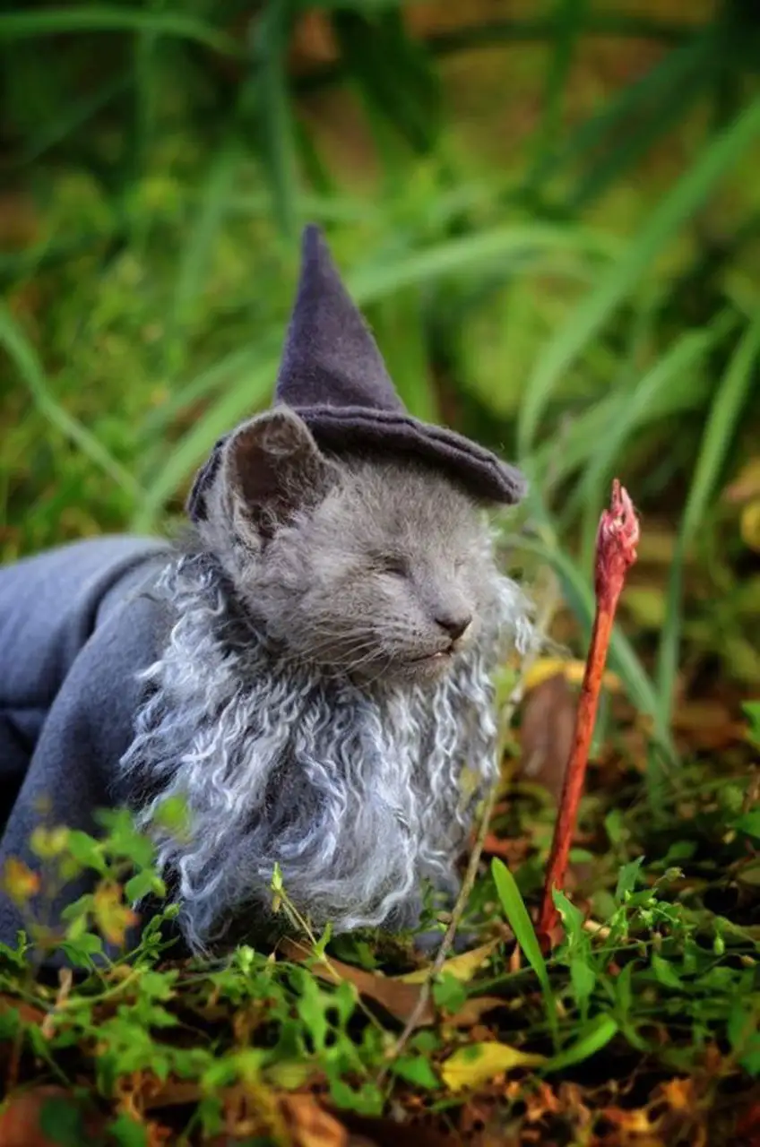 gandalf-chat-4