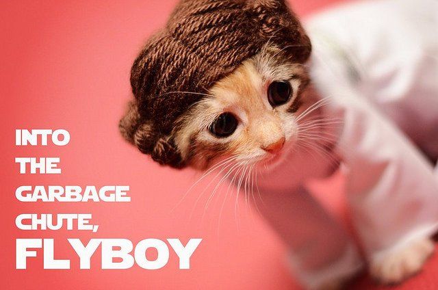 Si les héros de Game of Thrones, Star Wars ou Doctor Who étaient des chats ? #2
