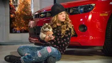 Grumpy Cat le film arrive cet hiver