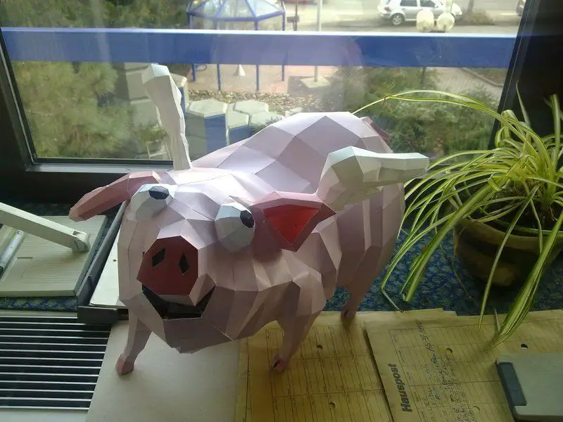 cochon-geometrique-3