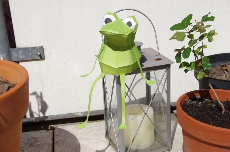 crapaud-geometrique-1