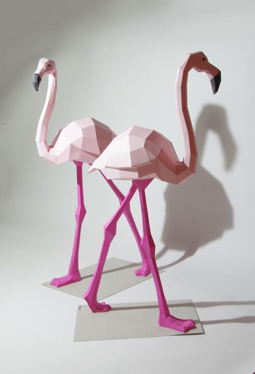flamand-rose-geometrique-1