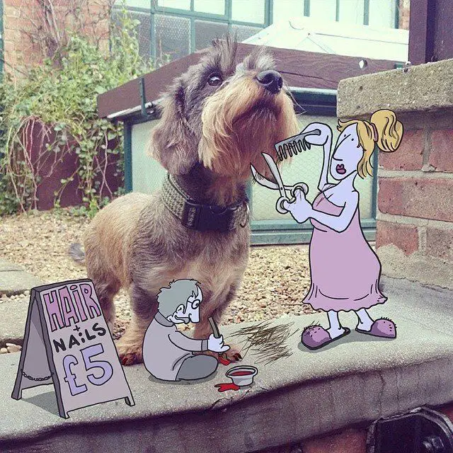 Il rajoute des petits personnages délirants dans des photos Instagram #38