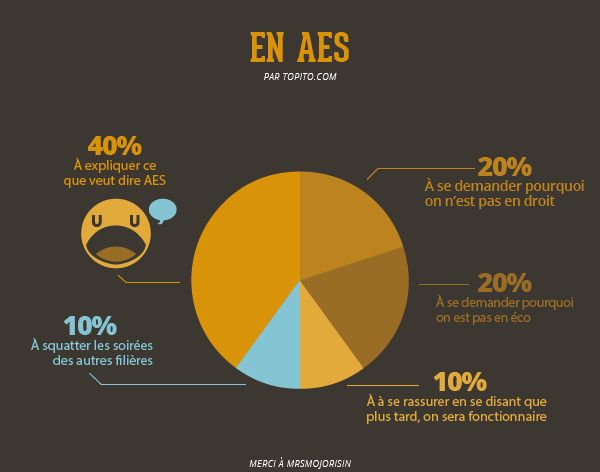 Quelles études faire après le Bac ? On vous explique tout en images #16