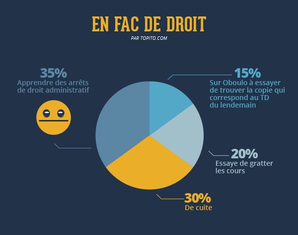 Quelles études faire après le Bac ? On vous explique tout en images #14