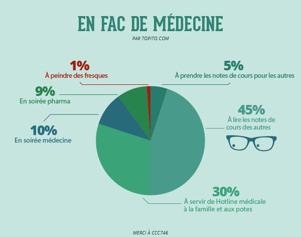 Quelles études faire après le Bac ? On vous explique tout en images #7