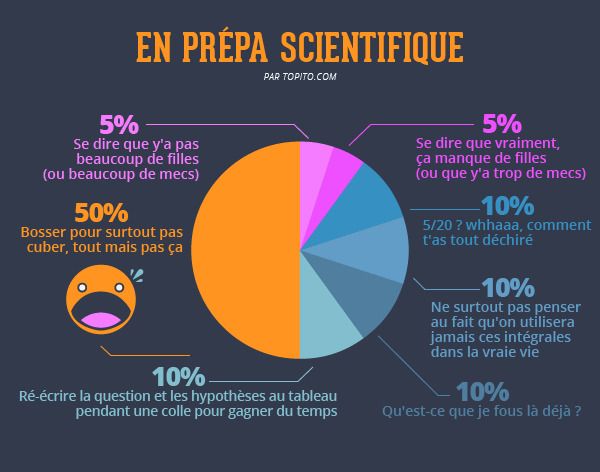Quelles études faire après le Bac ? On vous explique tout en images #3