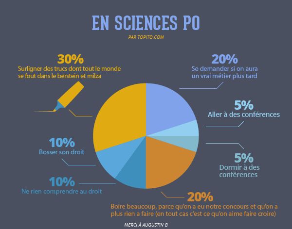 Quelles études faire après le Bac ? On vous explique tout en images #11