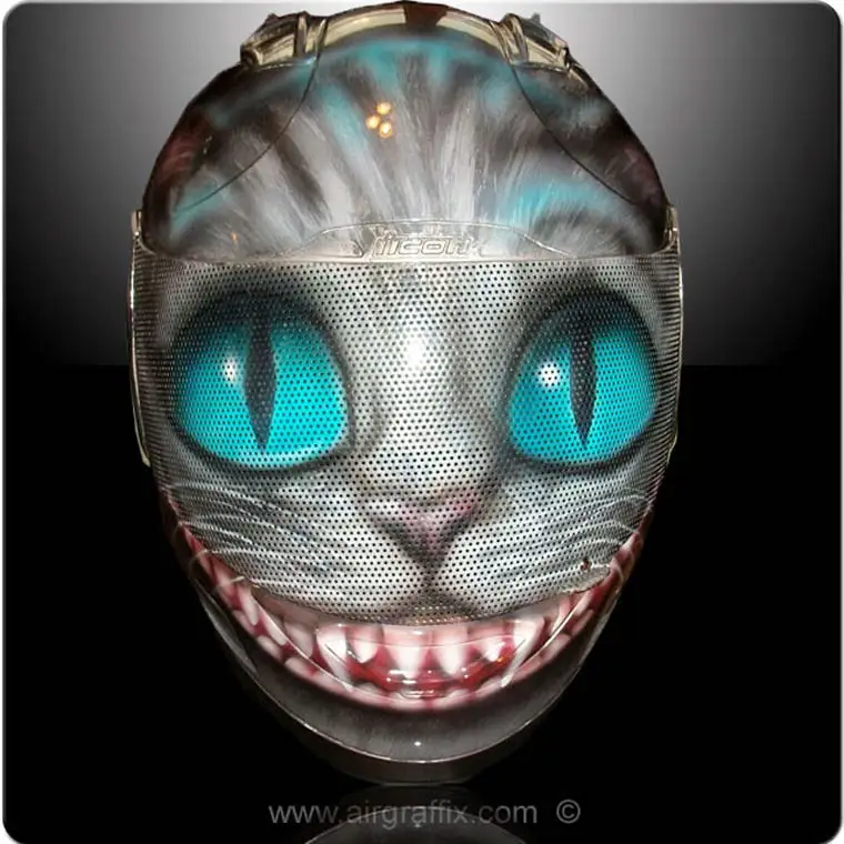 casques-moto-chat