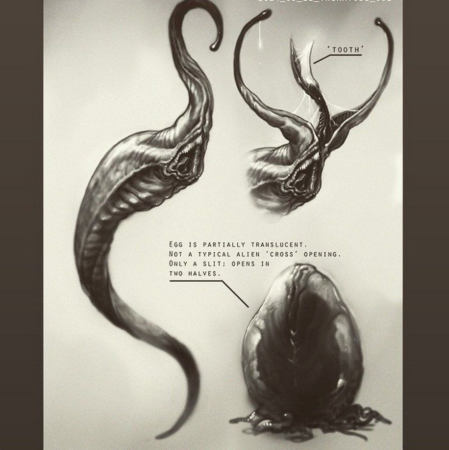 Neil Blomkamp réalisera le prochain Alien #4