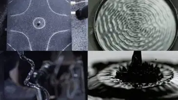 Cymatics : quand la science permet de voir la musique