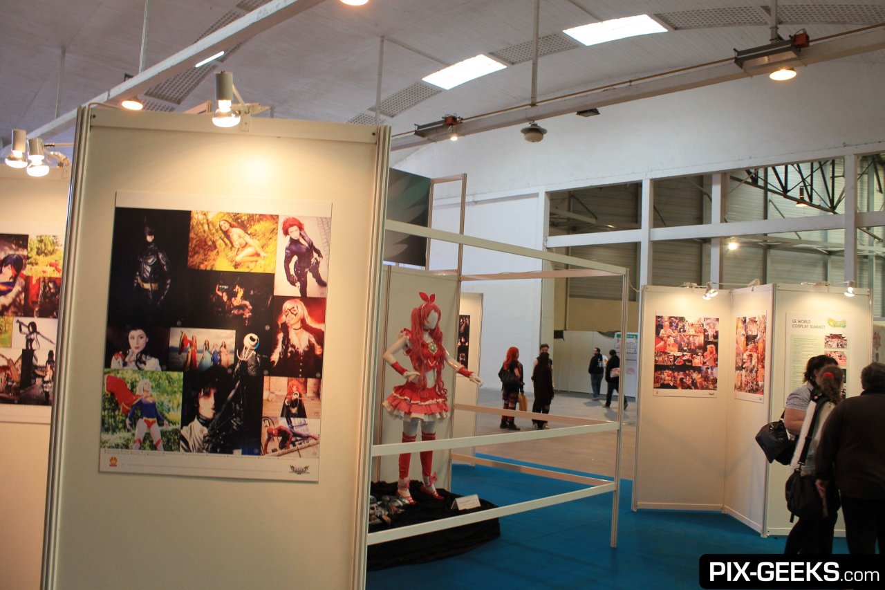 Cosplay, avatars de l'imaginaire