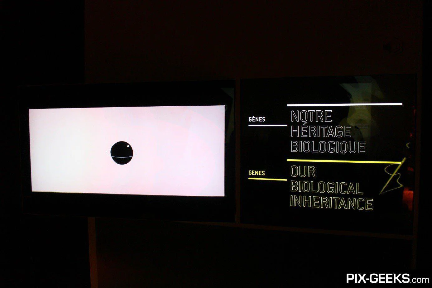 On a visité Star Wars Identities Lyon #4