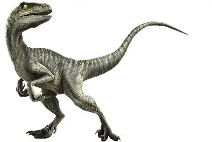 Jurassic World a son site internet, comme si le parc existait vraiment #11