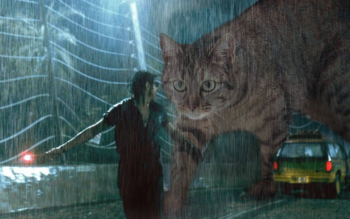 Jurassic World : il remplace les dinosaures par des chats #15